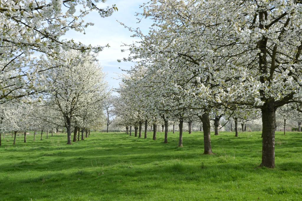 Huis Van Loon Borgloon Luaran gambar